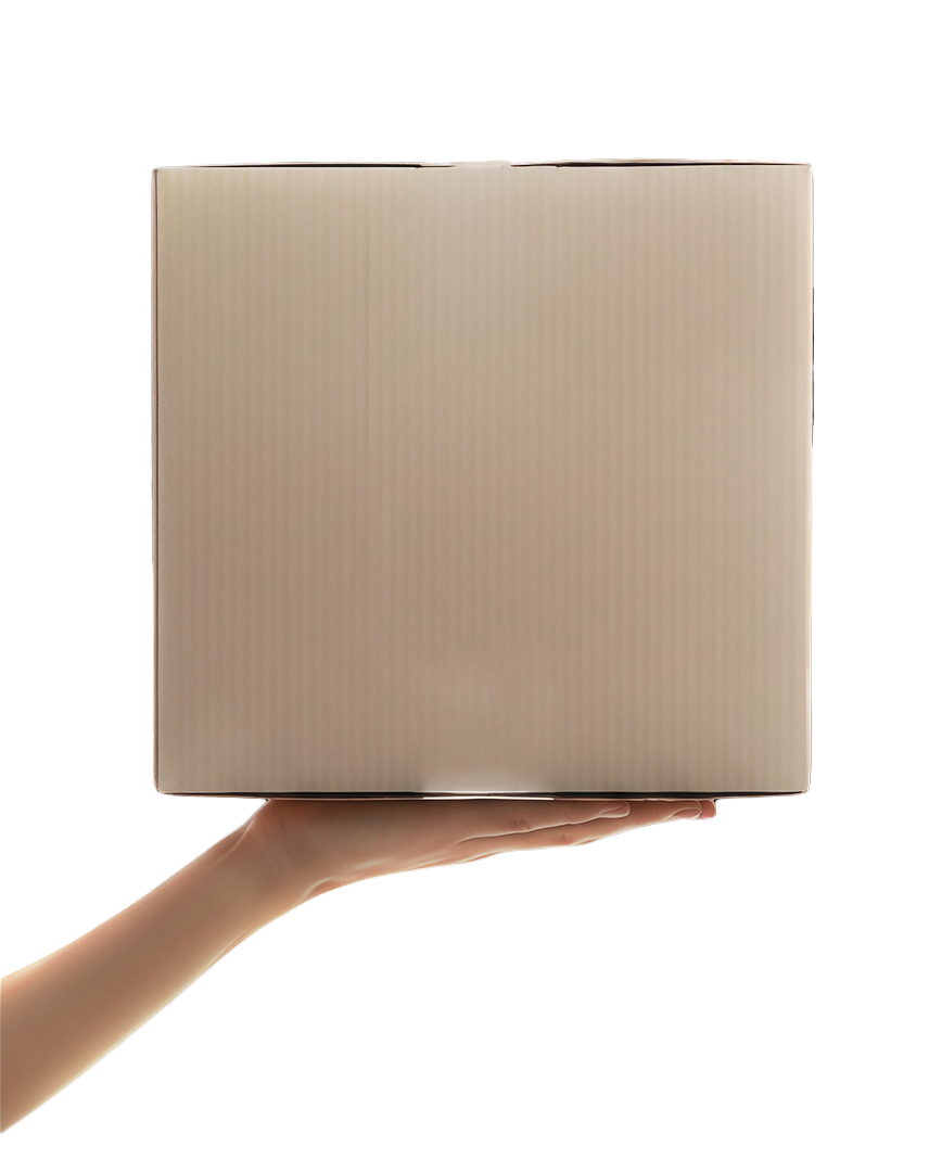 Ready to Ship - International Delivery